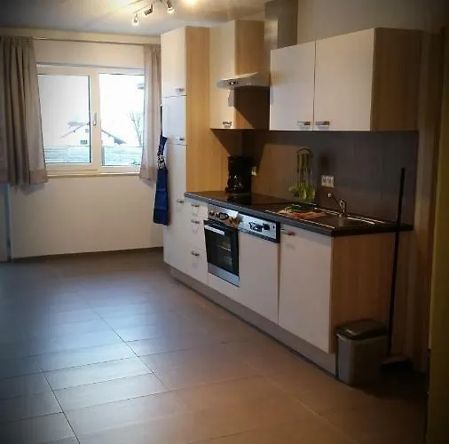 Haus Elisabeth 公寓 普范德斯